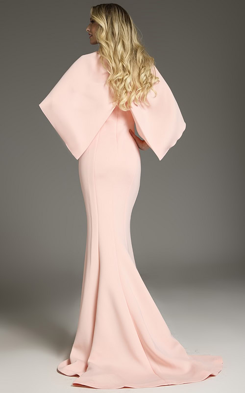 Back view of Jovani 38822 blush dress showing cape detail and mermaid silhouette.