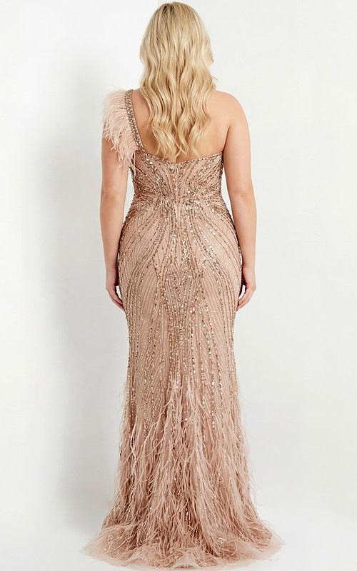 back view of beaded gown with feather trim