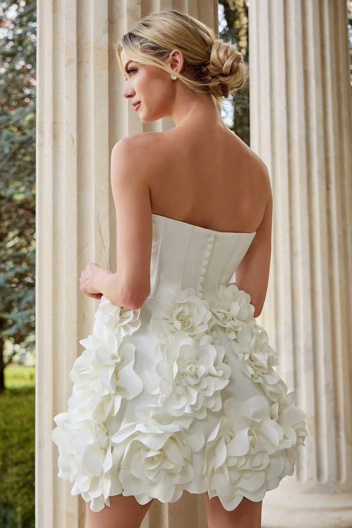back of fit and flare ruffled dress JB44284